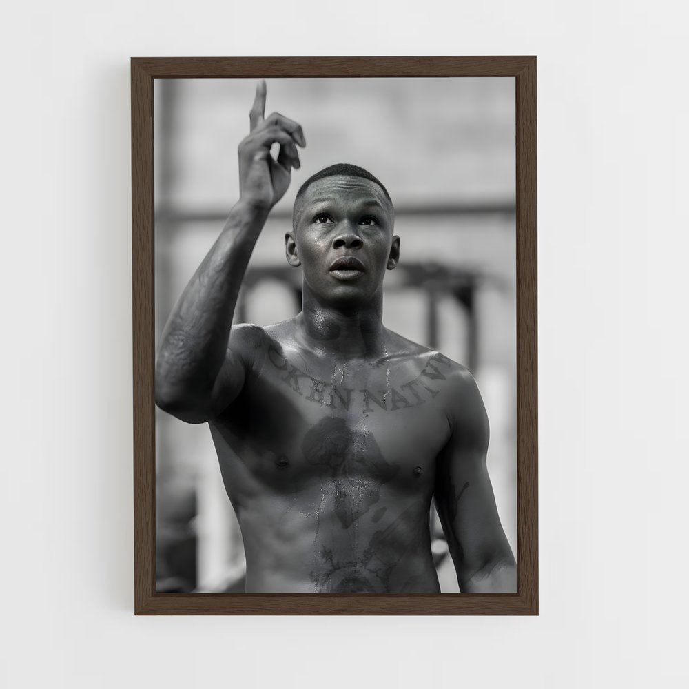 Poster Art of War – affiche MMA (vue 5)